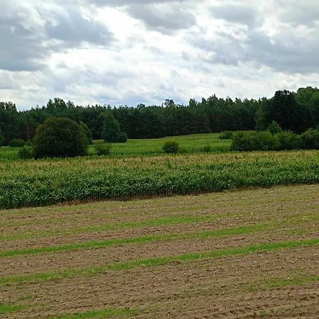 Domek Letniskowy Przy Gorach Majowych Goniadz Exterior photo